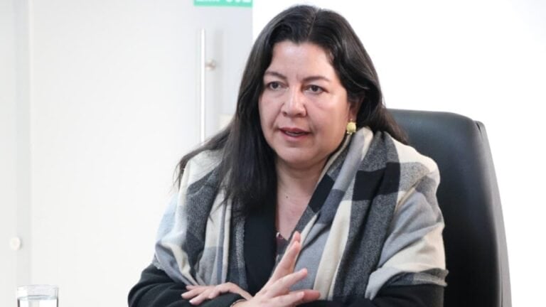Entrevista | Caribe, región Andina y Orinoquía serían las zonas más afectadas por la ola de calor; Gobierno destinará más de $300.000 millones Geidy Ortega, viceministra de Asuntos Agropecuarios del Ministerio de Agricultura. Imagen: Ministerio de Agricultura