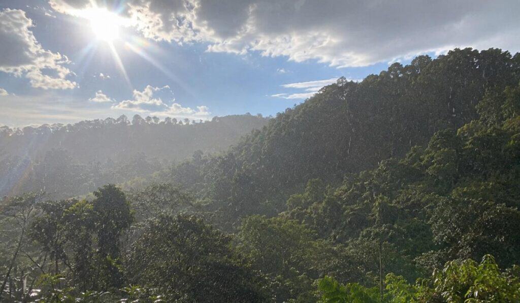 Llegó el fenómeno de El Niño a Colombia y aproximadamente 72 % de la agricultura depende del agua lluvia Impacto de El Niño en el agro. Imagen: Generada por AI