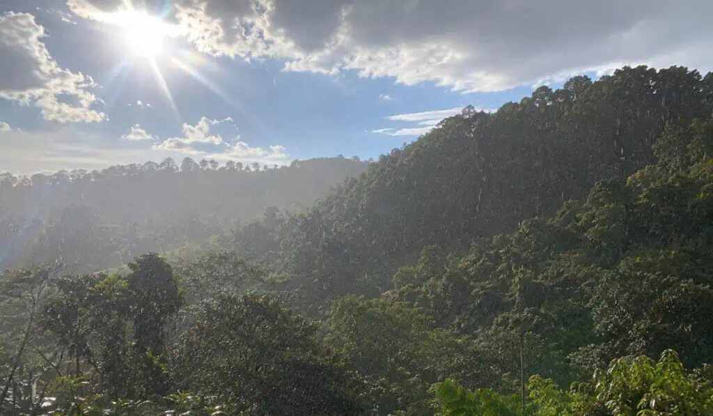 Colombia perdería hasta $2 billones por el golpe del fenómeno de El Niño: gas, electricidad y agua serían los sectores más golpeados Impacto fenómeno de El Niño en colombia en el agro. Imagen: Generada por AI