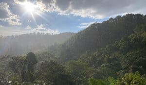 Impacto de El Niño en el agro. Imagen: Generada por AI