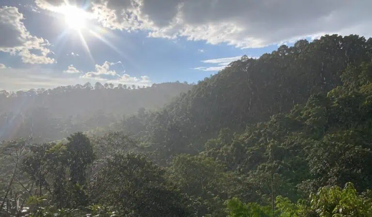Impacto fenómeno de El Niño en colombia en el agro. Imagen: Generada por AI