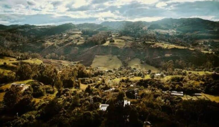 La oportunidad turística que Colombia no ha aprovechado y mueve más de US$830.000 millones al año La oportunidad turística que Colombia no ha aprovechado y mueve más de US$830.000 millones al año