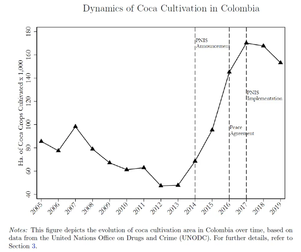 La paradoja de la coca en Colombia: el cultivo pesa cada vez más en la economía, pero sus rentas se quedan en la ilegalidad coca en Colombia