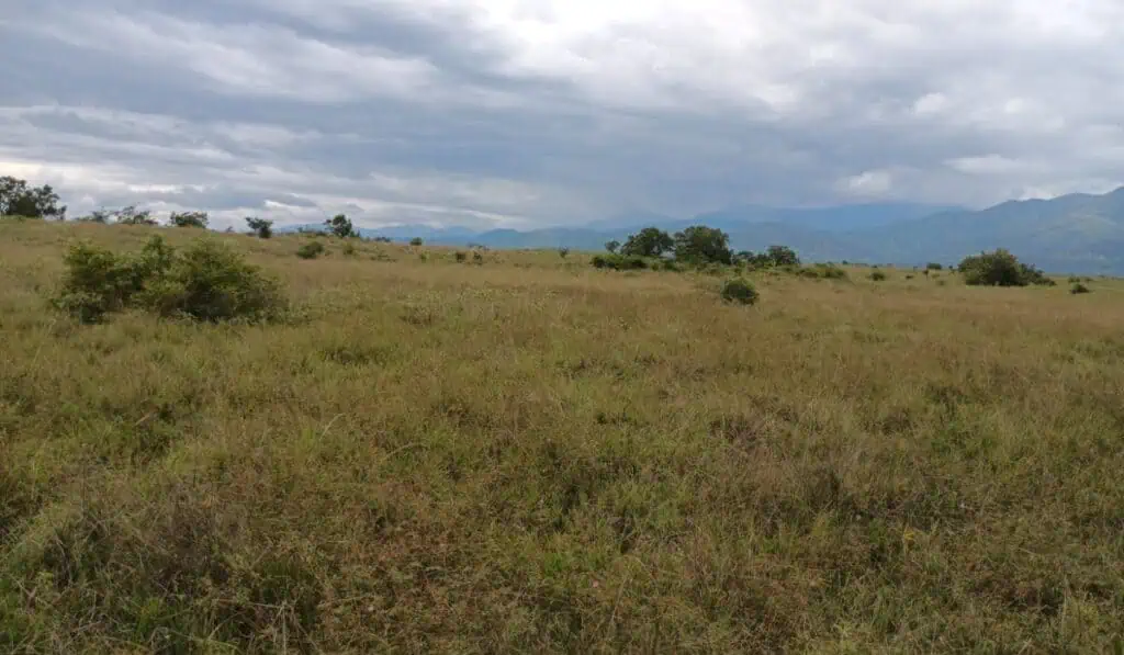 ANLA otorga licencia ambiental al proyecto LASolar en Huila Zona de localización del proyecto LASolar en Huila. Imagen: ANLA