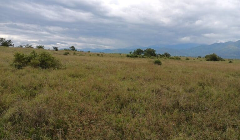 ANLA otorga licencia ambiental al proyecto LASolar en Huila Zona de localización del proyecto LASolar en Huila. Imagen: ANLA