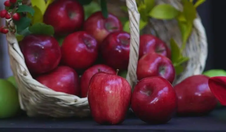 Manzanas de Polonia. Foto: Cortesía.