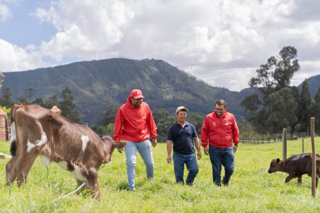 Alquería y la australiana SeaStock se unen para desarrollar en Colombia una innovación que podría transformar la ganadería Alquería