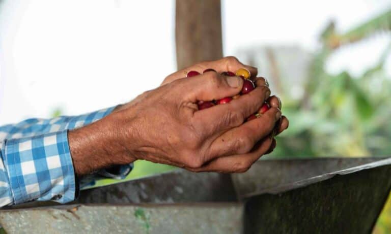 Cooperan tuvo exitosa recuperación: Pago de deudas, compra de café y otros planes Cooperan tuvo exitosa recuperación