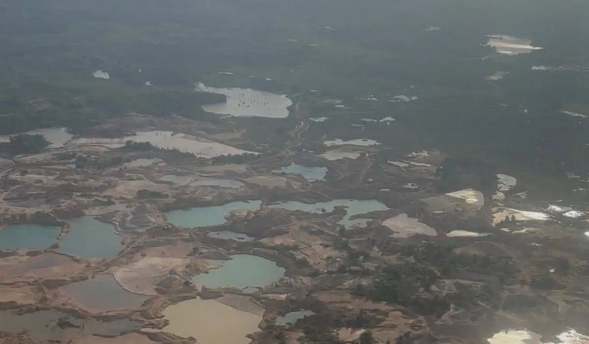 Home - Valora Analitik Impacto en la naturaleza de la minería ilegal en el Bajo Cauca. Imagen: Valora Analitik