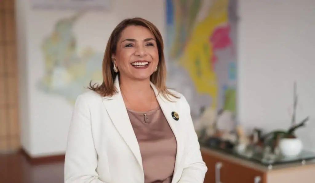 Rondas mineras de la ANM entregarán bloques en Huila, Antioquia, Cesar y La Guajira; cubren 25.000 hectáreas Lina Franco, presidente de la ANM. Imagen: ANM