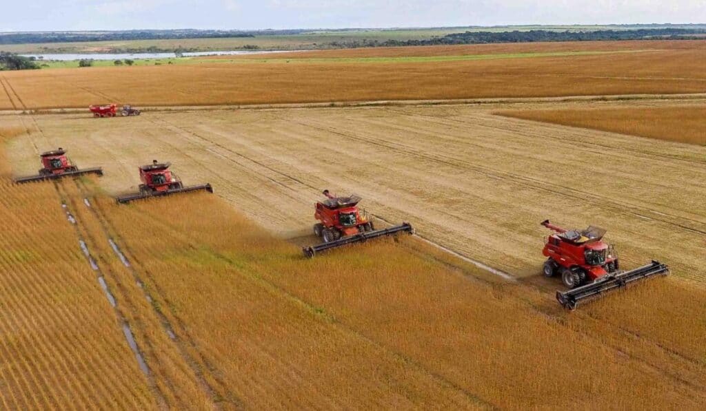 Aliar fortalece su modelo agroindustrial con mayor producción de alimentos y apuesta por la innovación Agropecuaria Aliar produjo en el mismo período, un total de 114.206 toneladas de maíz.