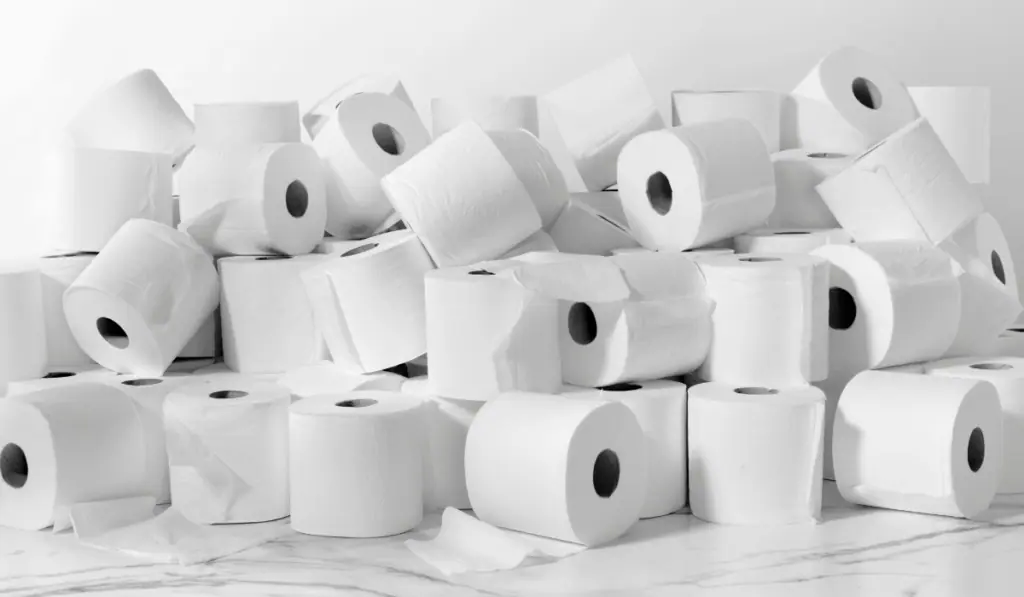 Arbex, la nueva empresa de Suzano y Kimberly-Clark, inicia operaciones globales Arbex apunta a ser el nuevo líder global en papel e higiene