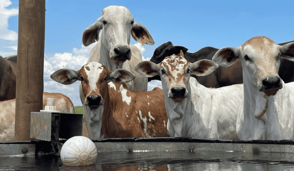 Aliar fortalece su modelo agroindustrial con mayor producción de alimentos y apuesta por la innovación La empresa se apoya en innovadores procesos de agricultura regenerativa.