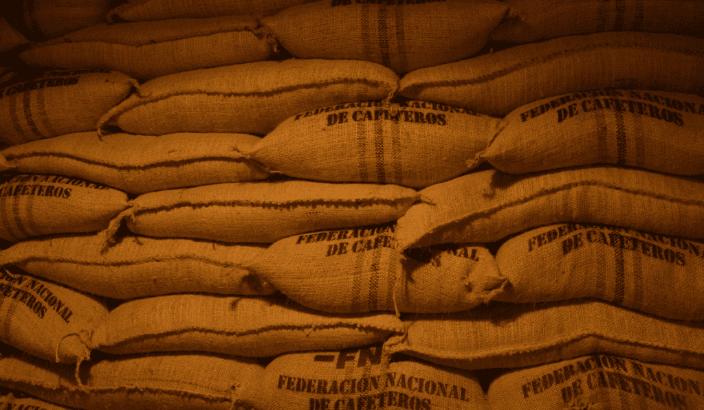 Investigación impulsó la producción de café en Colombia un 19,2 % en la última década Producción de café