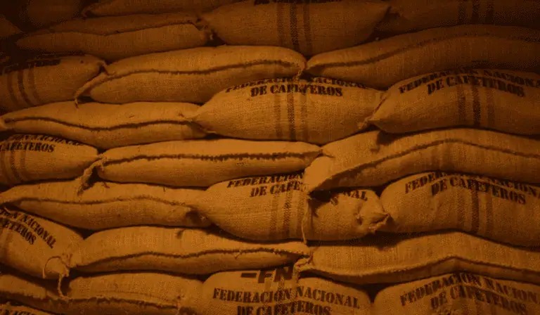 Producción de café