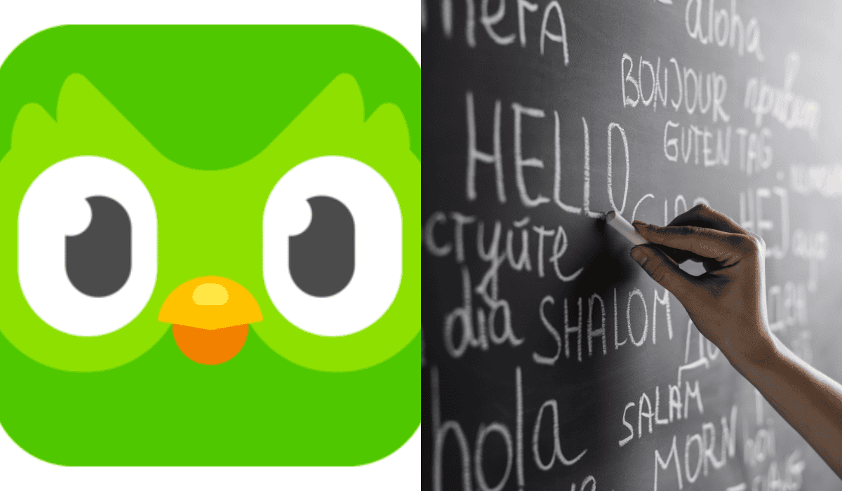 Home - Valora Analitik Así nació la app de Duolingo