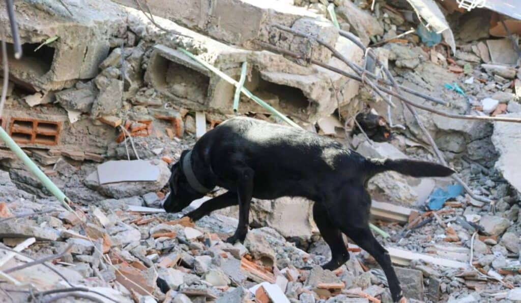 Chocó, epicentro del terremoto: estas son las prioridades para atender la emergencia en este departamento Chocó, epicentro del terremoto: estas son las prioridades para atender la emergencia en este departamento