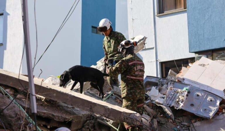 El terremoto puso a prueba las edificaciones en Colombia: estas son las lecciones que deja para el próximo gran sismo El terremoto puso a prueba las edificaciones en Colombia: estas son las lecciones que deja para el próximo gran sismo
