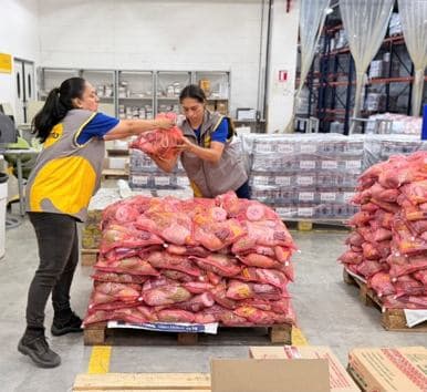 Las tres iniciativas clave que lidera Grupo Éxito para apoyar a las víctimas del terremoto en Colombia Las tres iniciativas clave que lidera Grupo Éxito para apoyar a las víctimas del terremoto en Colombia