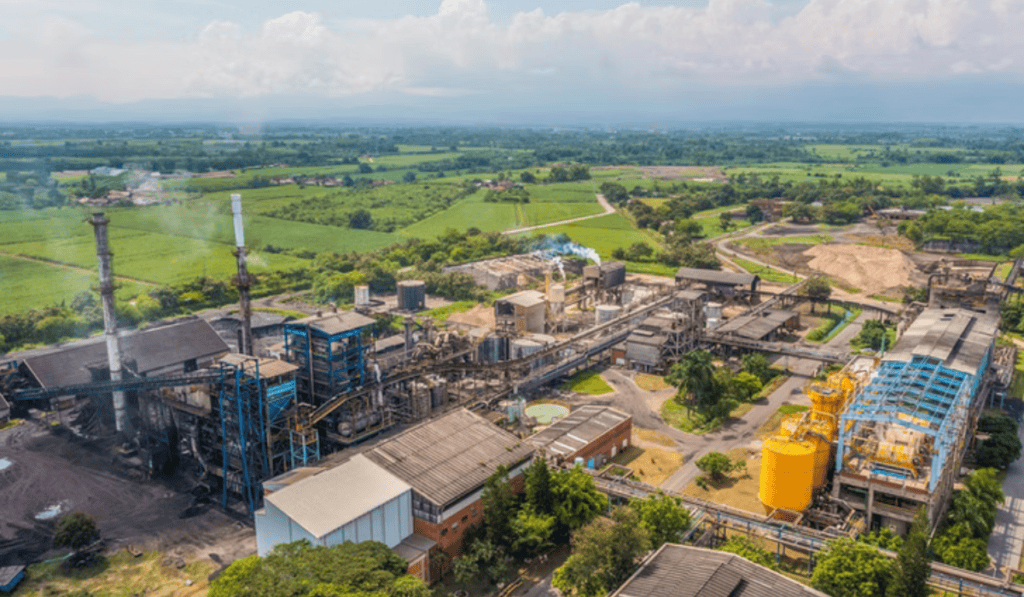 Así nació Propal, una de las principales empresas productoras de papel en Colombia que cerró operaciones por crisis Planta de Propal