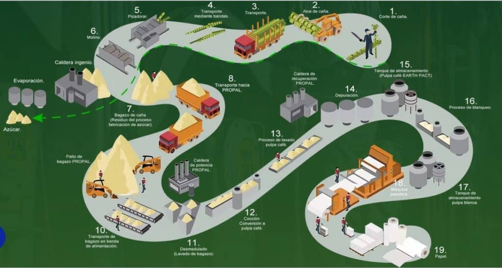 Así nació Propal, una de las principales empresas productoras de papel en Colombia que cerró operaciones por crisis Proceso de fabricación de Propal