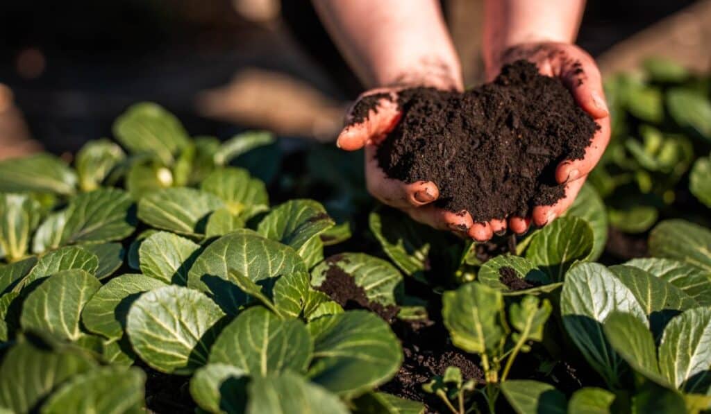 Colsubsidio, entre las 10 organizaciones con mejores prácticas de inversión social y ambiental en Colombia Reconocimiento a Colsubsidio