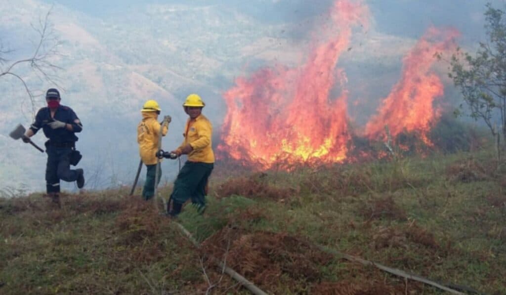 Gobernador de Cundinamarca alerta que el 90 % de los incendios forestales serían provocados Gobernador de Cundinamarca alerta que el 90 % de los incendios forestales serían provocados