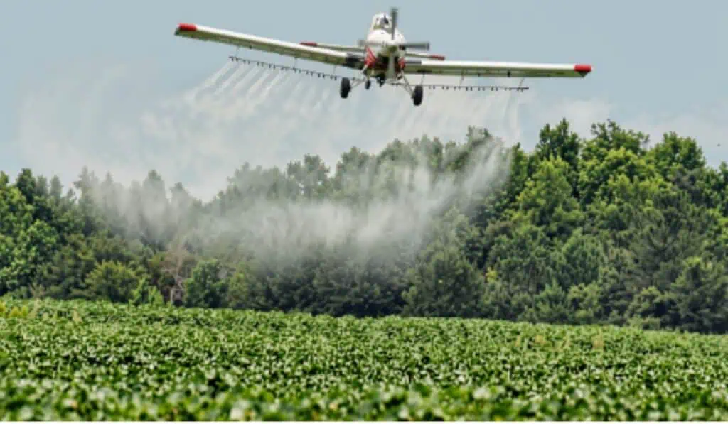 Primicia | Arranca plan piloto para retomar la fumigación aérea de cultivos de coca en Colombia: no se hará con glifosato Aspersión aérea de cultivos ilícitos
