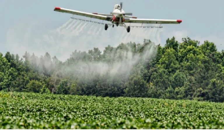 Primicia | Arranca plan piloto para retomar la fumigación aérea de cultivos de coca en Colombia: no se hará con glifosato Aspersión aérea de cultivos ilícitos