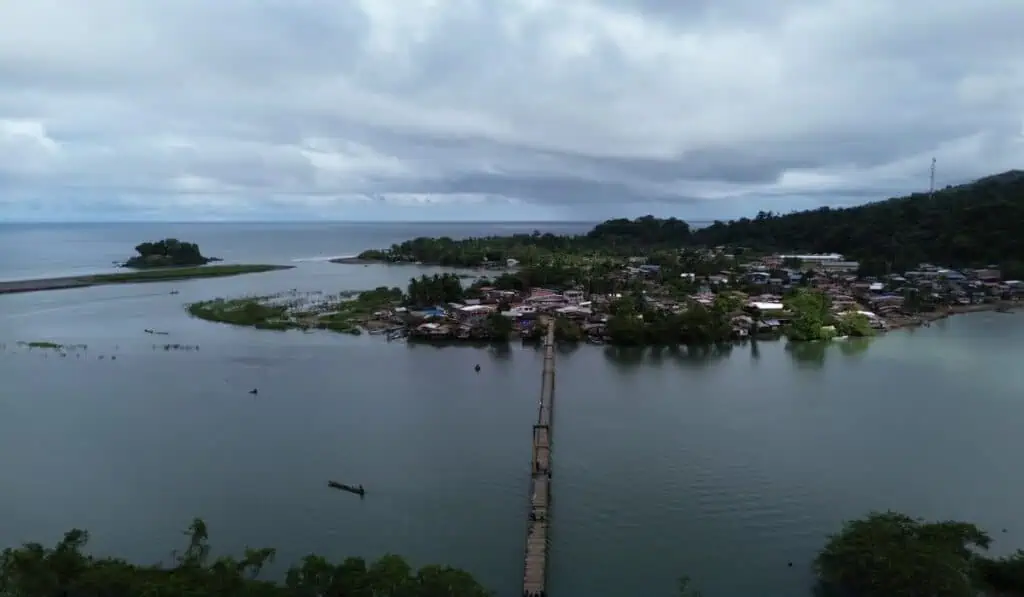 Festival Cordillera compensará 2.800 toneladas de carbono con proyecto de conservación en Chocó Proyecto de compensación en el Chocó.