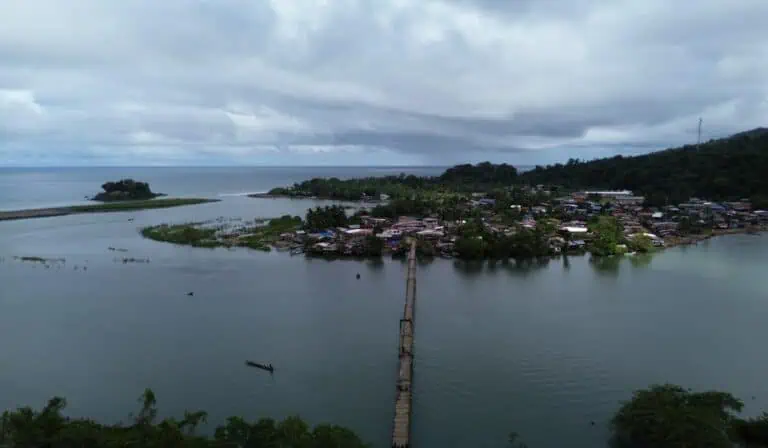 Festival Cordillera compensará 2.800 toneladas de carbono con proyecto de conservación en Chocó Proyecto de compensación en el Chocó.