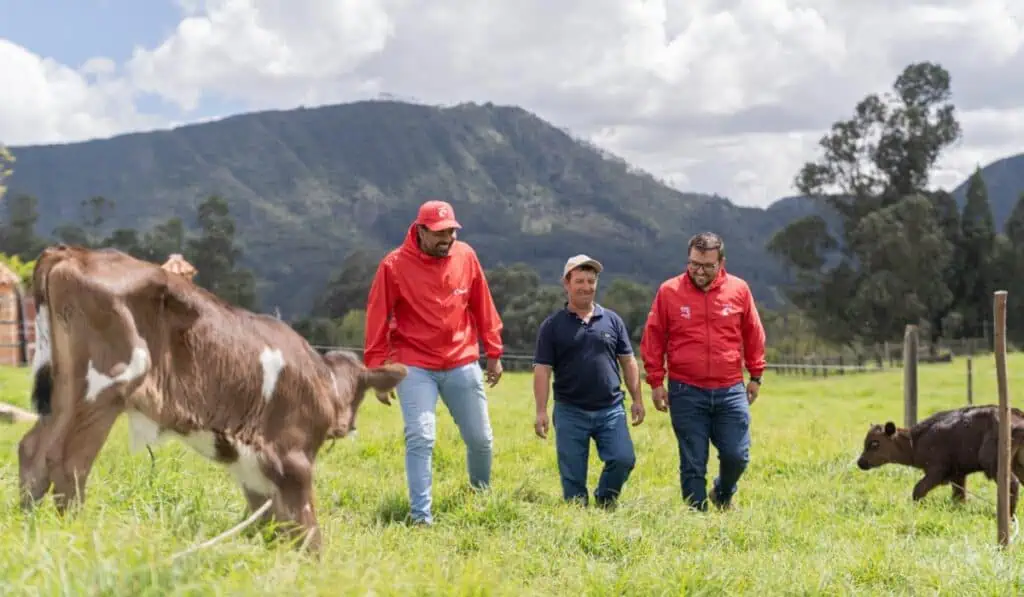 Alquería entra al top 5 de las mejores empresas para la población general colombiana, según Merco 2026 Alquería entra al top 5 de las mejores empresas para la población general colombiana