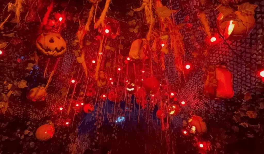 Primicia | El nuevo proyecto de Salitre Mágico en el Cici Aquapark abriría sus puertas en mayo de 2027; así prepara el parque su expansión El Festival del Terror espera recibir a 120.000 visitantes