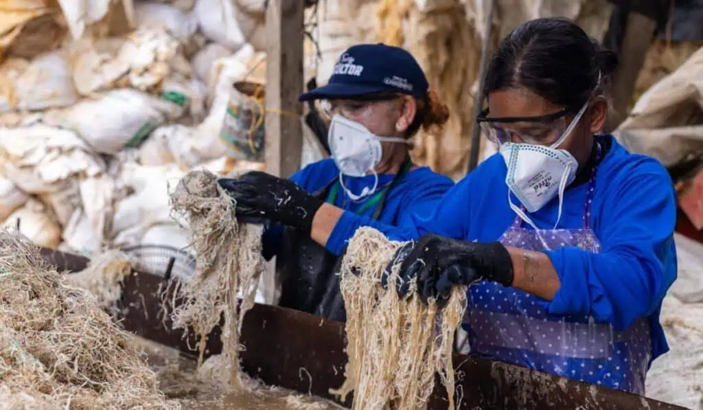Más de 1.000 mujeres en Antioquia han conseguido empleo con este programa: ofrece incentivos a empresas que contraten Empleo a mujeres