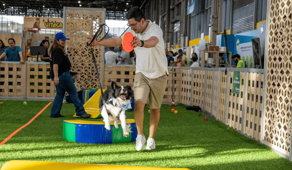 Expopet regresa a Medellín con adopciones, experiencias y bienestar animal Expopet