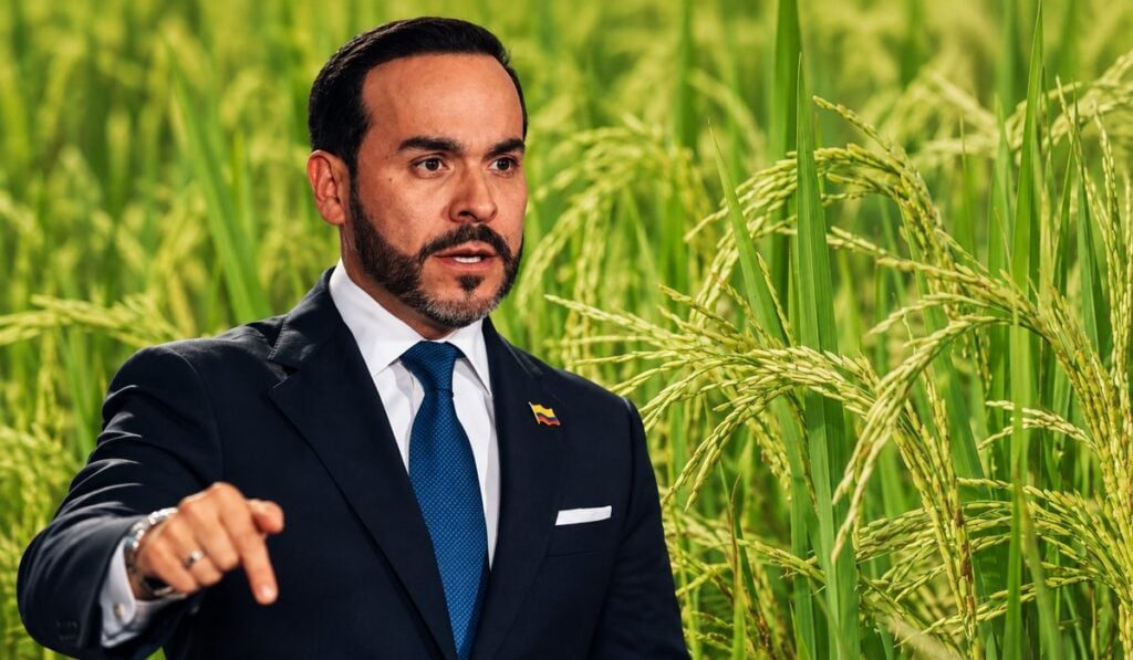 Gobierno De la Espriella anuncia plan para ordenar siembras de arroz y regular importaciones Gobierno De la Espriella anuncia plan para ordenar siembras de arroz y regular importaciones