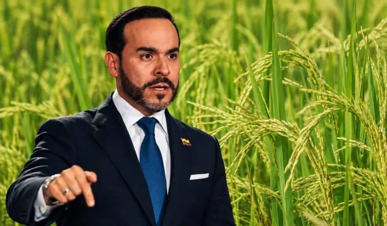 Gobierno De La Espriella anuncia plan para ordenar siembras de arroz y regular importaciones Gobierno De La Espriella anuncia plan para ordenar siembras de arroz y regular importaciones