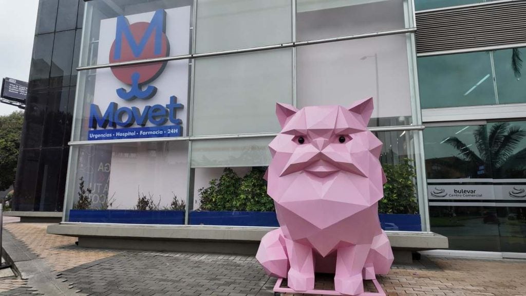 Importante red veterinaria invertirá $6.000 millones para abrir nuevas sedes en Colombia: Antioquia será clave La expansión de la red veterinaria Movet ya comenzó en Antioquia