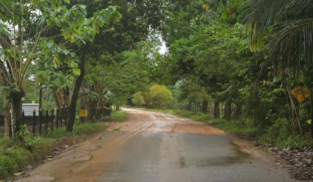 Grupo Argos, EPM y otras cinco empresas impulsan obra vial que beneficiará a 28.000 personas en Antioquia Obra vial en Antioquia será financiada por siete empresas mediante Obras por Impuestos