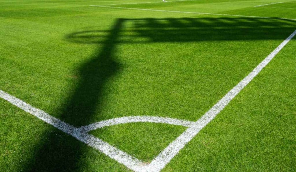 Bogotá buscaría reformar este estadio como alternativa al Campín: proyecto costaría hasta $400.000 millones Piden reformar el estadio de Techo en Bogotá