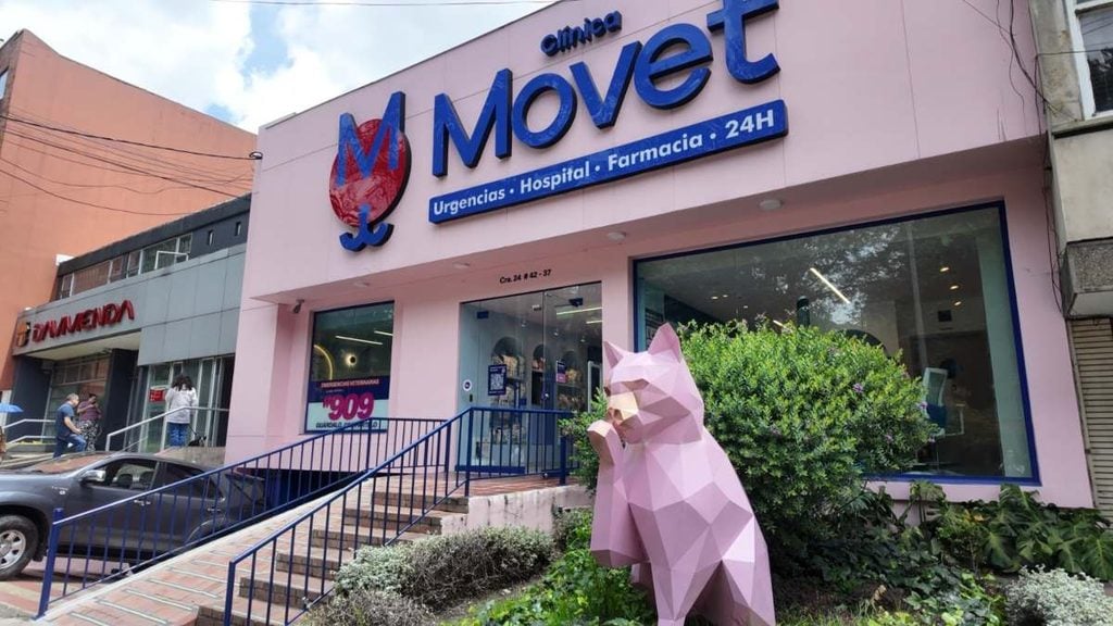 Importante red veterinaria invertirá $6.000 millones para abrir nuevas sedes en Colombia: Antioquia será clave clínicas de Movet