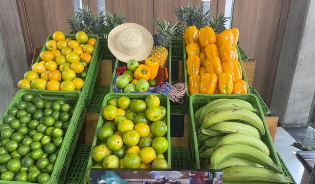 Inicia Expo Agrofuturo en Corferias: el encuentro donde convergen tecnología, inversión y producción sostenible para el agro Plazas de mercado en Expo Agrofuturo de Corferias. Foto: Nataly Vargas, Valora Analitik.